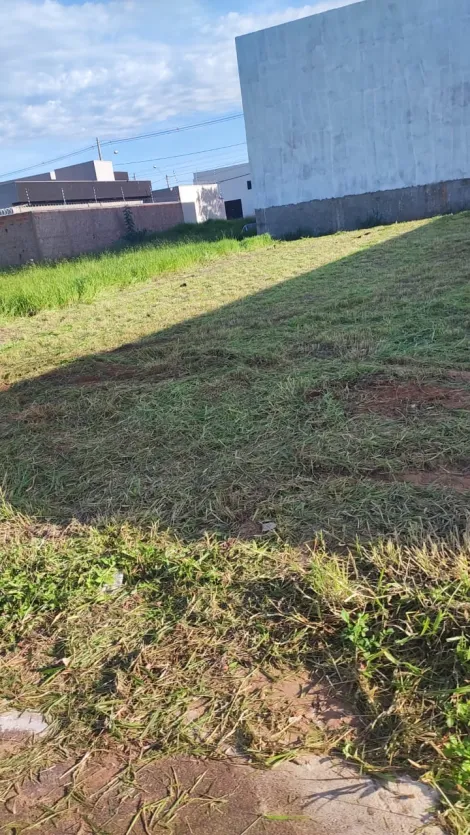 Comprar Terreno / Padr&atilde;o em Bady Bassitt R$ 80.000,00 - Foto 4