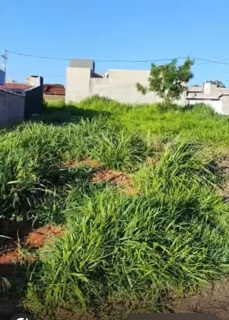 Alugar Terreno / Padr&atilde;o em Bady Bassitt. apenas R$ 90.000,00