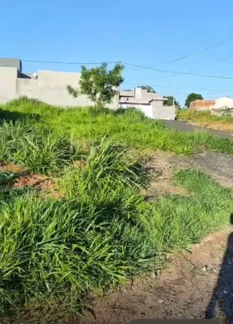 Comprar Terreno / Padr&atilde;o em Bady Bassitt R$ 90.000,00 - Foto 2