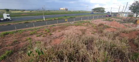 Comprar Terreno / &Aacute;rea em Jales R$ 5.900.000,00 - Foto 4