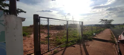 Comprar Terreno / &Aacute;rea em Jales R$ 5.900.000,00 - Foto 7