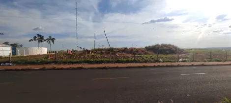 Comprar Terreno / &Aacute;rea em Jales R$ 5.900.000,00 - Foto 5