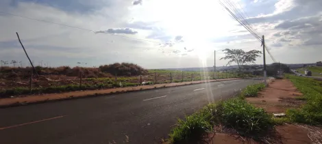 Comprar Terreno / &Aacute;rea em Jales R$ 5.900.000,00 - Foto 6