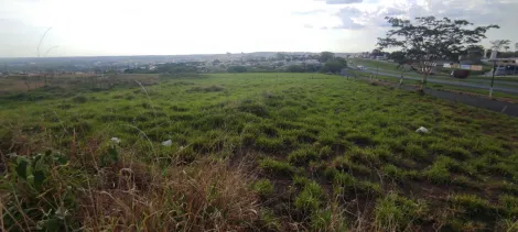 Terreno / &Aacute;rea em Jales 