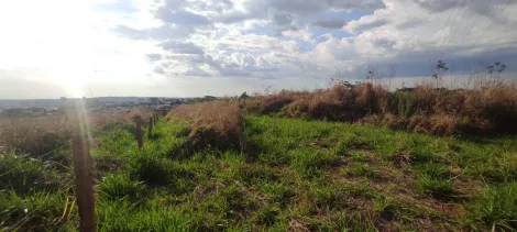 Comprar Terreno / &Aacute;rea em Jales R$ 5.900.000,00 - Foto 2