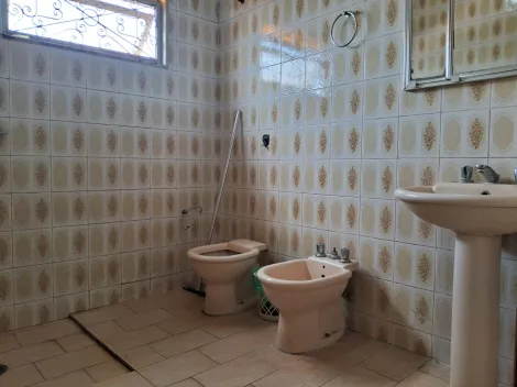 Alugar Casa / Padr&atilde;o em S&atilde;o Jos&eacute; do Rio Preto R$ 3.500,00 - Foto 13