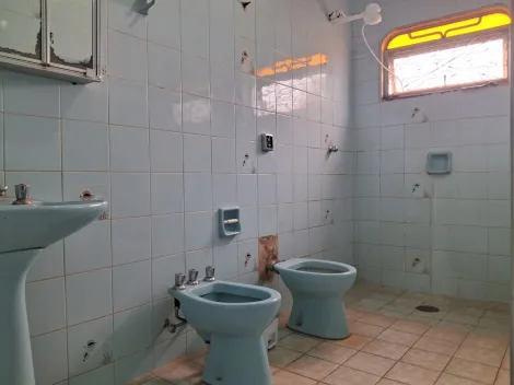 Alugar Casa / Padr&atilde;o em S&atilde;o Jos&eacute; do Rio Preto R$ 3.500,00 - Foto 14