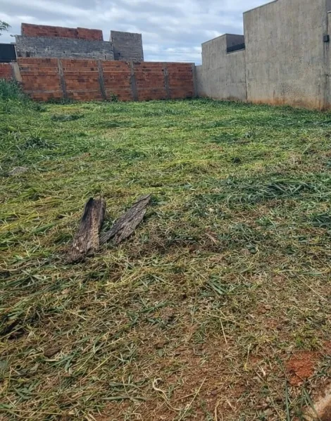 Comprar Terreno / Padr&atilde;o em S&atilde;o Jos&eacute; do Rio Preto R$ 112.000,00 - Foto 2