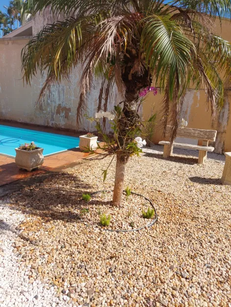 Comprar Casa / Sobrado em S&atilde;o Jos&eacute; do Rio Preto R$ 870.000,00 - Foto 2
