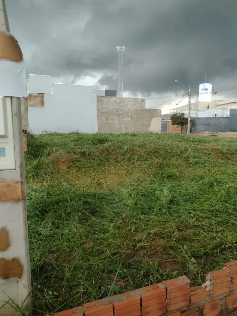 Terreno / Padr&atilde;o em S&atilde;o Jos&eacute; do Rio Preto 