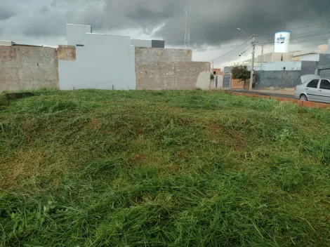 Comprar Terreno / Padr&atilde;o em S&atilde;o Jos&eacute; do Rio Preto R$ 150.000,00 - Foto 2