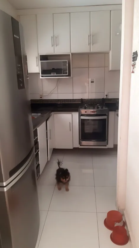 Comprar Casa / Condom&iacute;nio em S&atilde;o Jos&eacute; do Rio Preto R$ 630.000,00 - Foto 31