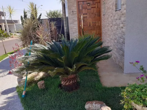 Comprar Casa / Condom&iacute;nio em S&atilde;o Jos&eacute; do Rio Preto R$ 650.000,00 - Foto 2