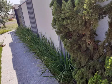 Comprar Casa / Condom&iacute;nio em S&atilde;o Jos&eacute; do Rio Preto R$ 650.000,00 - Foto 3