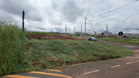 Terreno / Padr&atilde;o em S&atilde;o Jos&eacute; do Rio Preto 