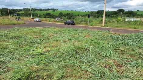 Comprar Terreno / Padr&atilde;o em S&atilde;o Jos&eacute; do Rio Preto R$ 115.000,00 - Foto 4