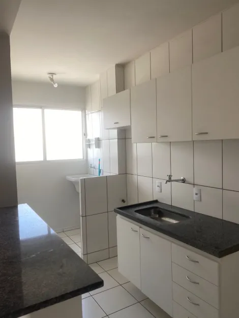 Alugar Apartamento / Padr&atilde;o em S&atilde;o Jos&eacute; do Rio Preto R$ 1.200,00 - Foto 4