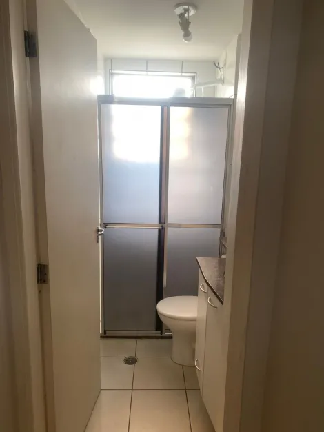 Alugar Apartamento / Padr&atilde;o em S&atilde;o Jos&eacute; do Rio Preto R$ 1.200,00 - Foto 11