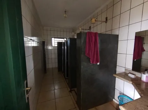 Comprar Rural / Ch&aacute;cara em S&atilde;o Jos&eacute; do Rio Preto R$ 1.800.000,00 - Foto 11