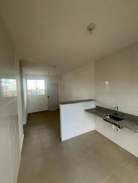 Alugar Casa / Padr&atilde;o em S&atilde;o Jos&eacute; do Rio Preto R$ 900,00 - Foto 5