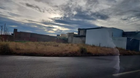 Comprar Terreno / Padr&atilde;o em S&atilde;o Jos&eacute; do Rio Preto R$ 140.000,00 - Foto 2