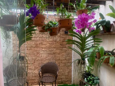 Comprar Casa / Padr&atilde;o em S&atilde;o Jos&eacute; do Rio Preto R$ 780.000,00 - Foto 12