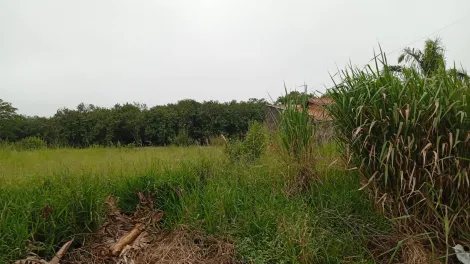 Comprar Terreno / Padr&atilde;o em S&atilde;o Jos&eacute; do Rio Preto R$ 190.000,00 - Foto 6