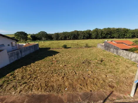 Comprar Terreno / Padr&atilde;o em S&atilde;o Jos&eacute; do Rio Preto R$ 190.000,00 - Foto 3