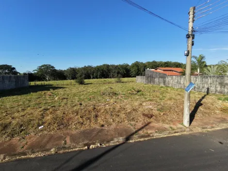 Terreno / Padr&atilde;o em S&atilde;o Jos&eacute; do Rio Preto 