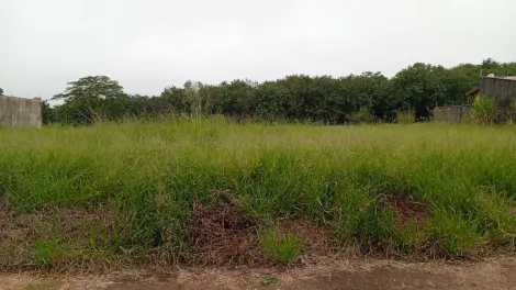 Comprar Terreno / Padr&atilde;o em S&atilde;o Jos&eacute; do Rio Preto R$ 190.000,00 - Foto 4