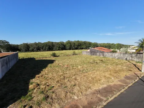 Comprar Terreno / Padr&atilde;o em S&atilde;o Jos&eacute; do Rio Preto R$ 190.000,00 - Foto 2