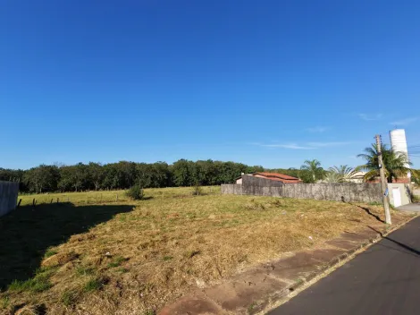 Comprar Terreno / Padr&atilde;o em S&atilde;o Jos&eacute; do Rio Preto R$ 190.000,00 - Foto 10