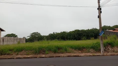 Comprar Terreno / Padr&atilde;o em S&atilde;o Jos&eacute; do Rio Preto R$ 190.000,00 - Foto 4
