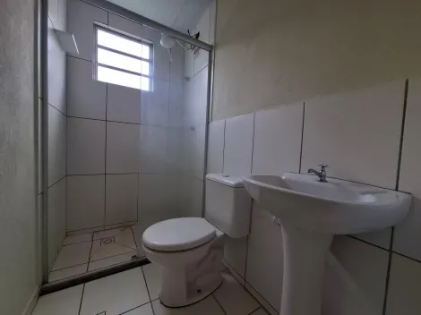 Alugar Apartamento / Padr&atilde;o em S&atilde;o Jos&eacute; do Rio Preto R$ 1.150,00 - Foto 5