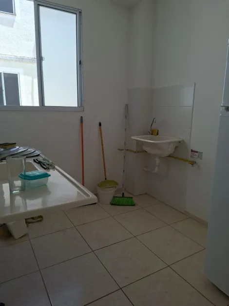 Alugar Apartamento / Padr&atilde;o em S&atilde;o Jos&eacute; do Rio Preto R$ 1.300,00 - Foto 5