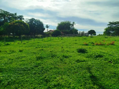 Comprar Rural / S&iacute;tio em Nhandeara R$ 2.700.000,00 - Foto 5