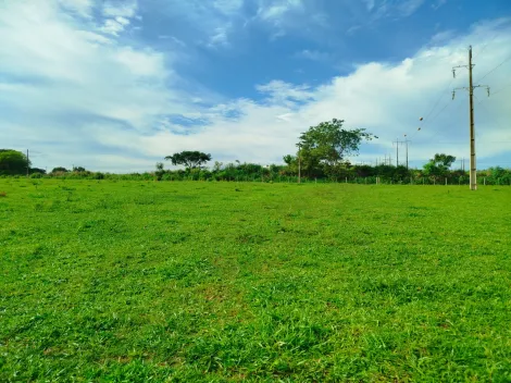 Comprar Rural / S&iacute;tio em Nhandeara R$ 2.700.000,00 - Foto 6