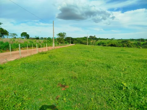 Comprar Rural / S&iacute;tio em Nhandeara R$ 2.700.000,00 - Foto 2