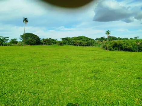 Comprar Rural / S&iacute;tio em Nhandeara R$ 2.700.000,00 - Foto 7