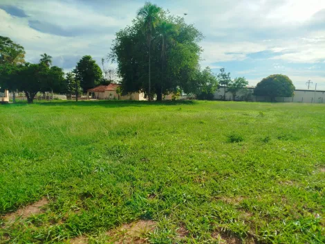 Comprar Rural / S&iacute;tio em Nhandeara R$ 2.700.000,00 - Foto 4