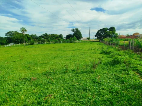 Comprar Rural / S&iacute;tio em Nhandeara R$ 2.700.000,00 - Foto 8