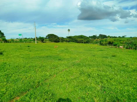 Comprar Rural / S&iacute;tio em Nhandeara R$ 2.700.000,00 - Foto 9