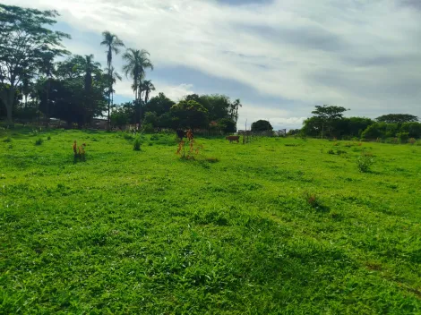 Comprar Rural / S&iacute;tio em Nhandeara R$ 2.700.000,00 - Foto 10