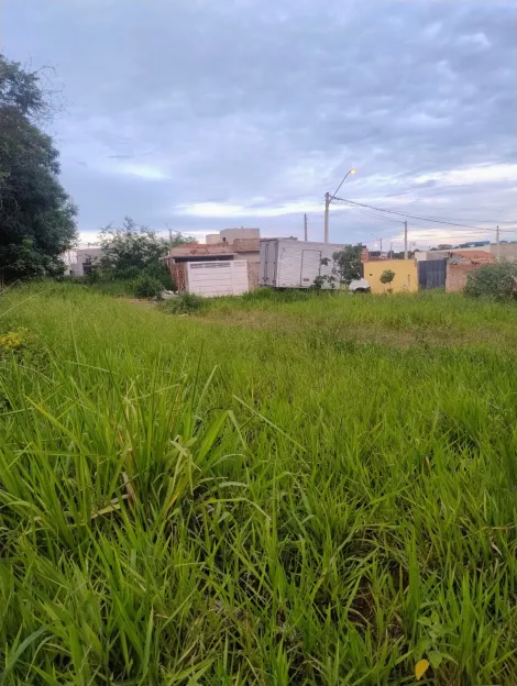 Comprar Terreno / Padr&atilde;o em S&atilde;o Jos&eacute; do Rio Preto R$ 120.000,00 - Foto 4