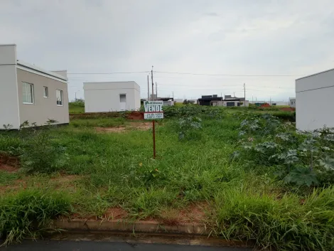 Comprar Terreno / Padr&atilde;o em S&atilde;o Jos&eacute; do Rio Preto R$ 89.000,00 - Foto 8