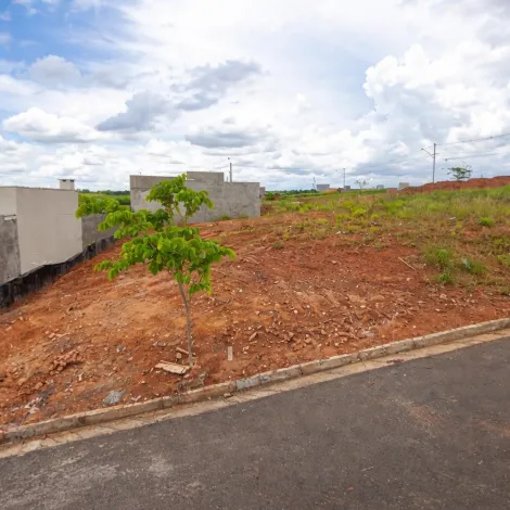 Terreno / Padr&atilde;o em S&atilde;o Jos&eacute; do Rio Preto 