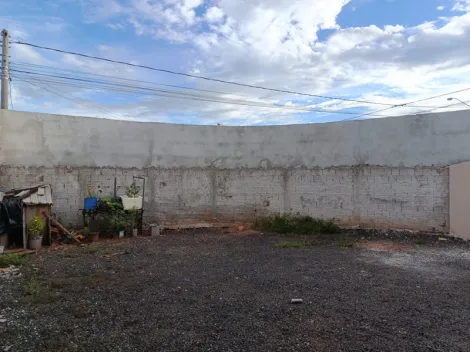 Alugar Casa / Padr&atilde;o em S&atilde;o Jos&eacute; do Rio Preto R$ 1.050,00 - Foto 12