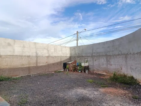 Alugar Casa / Padr&atilde;o em S&atilde;o Jos&eacute; do Rio Preto R$ 1.050,00 - Foto 14