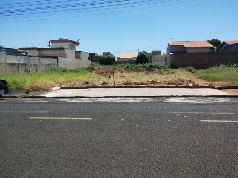 Comprar Terreno / Padr&atilde;o em S&atilde;o Jos&eacute; do Rio Preto R$ 100.000,00 - Foto 2
