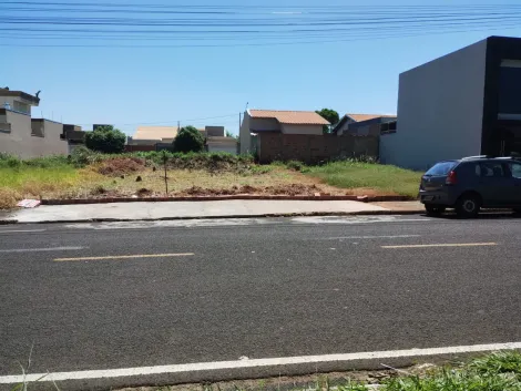 Comprar Terreno / Padr&atilde;o em S&atilde;o Jos&eacute; do Rio Preto R$ 100.000,00 - Foto 4